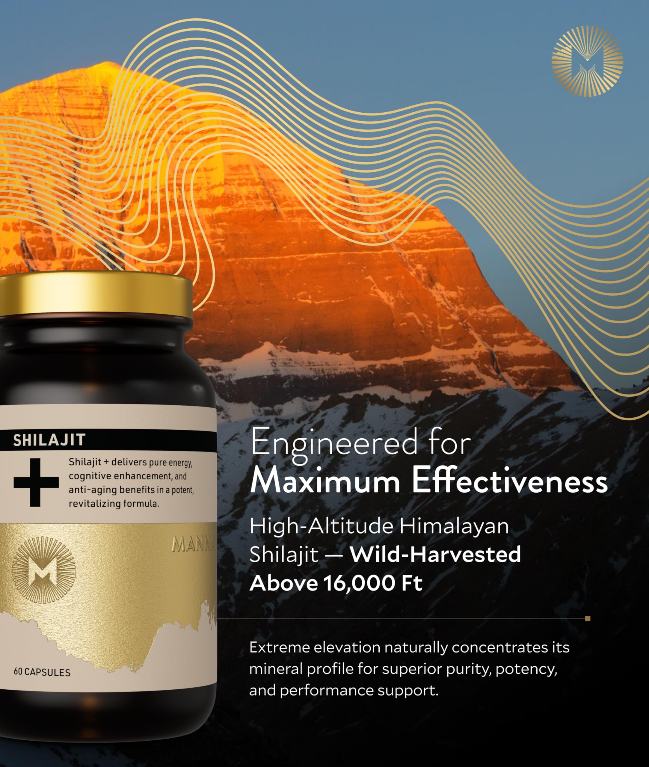 Cápsulas de M Manna Shilajit, dosis diaria para enfoque.