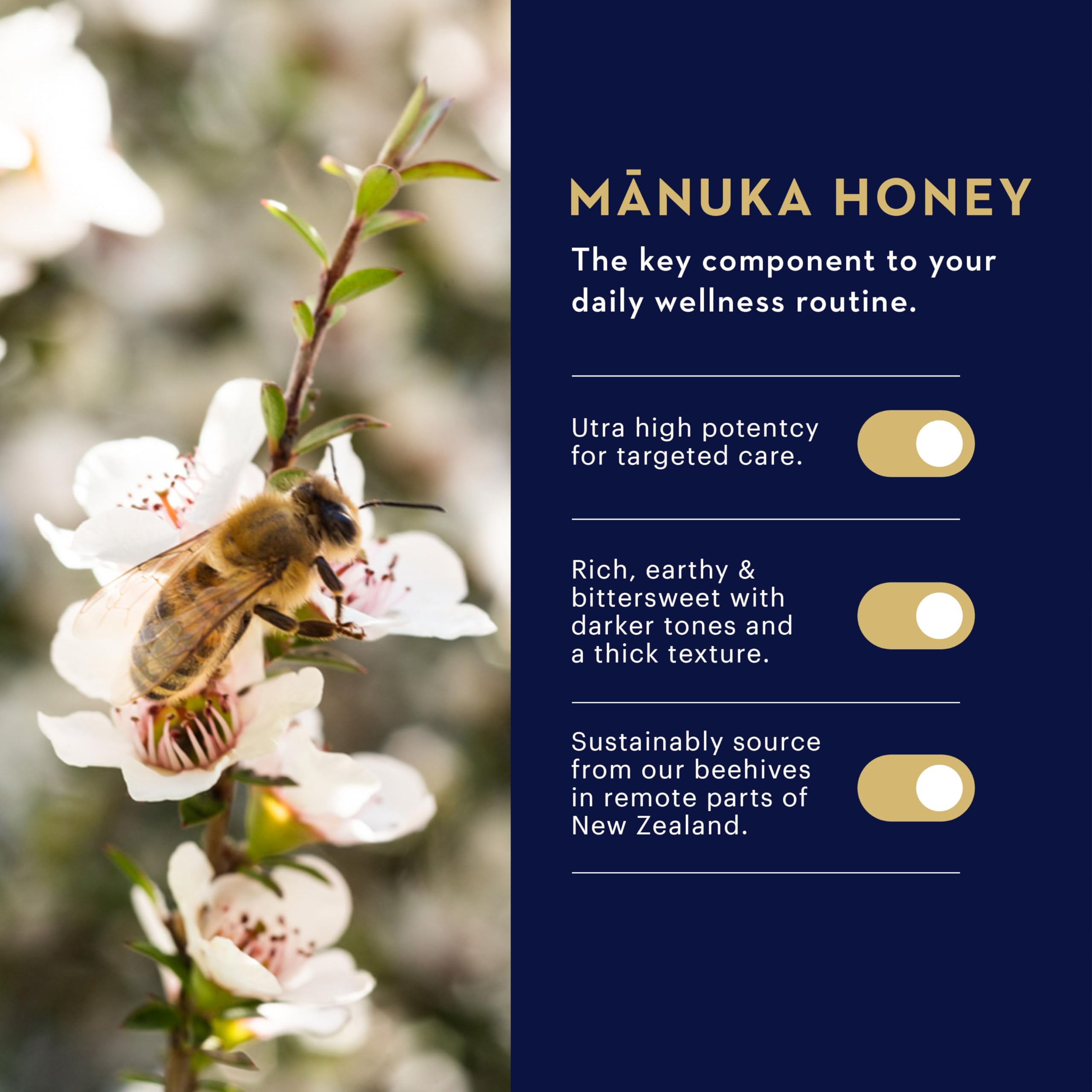 Miel Manuka MGO 400+ con sabor suave para confort diario.