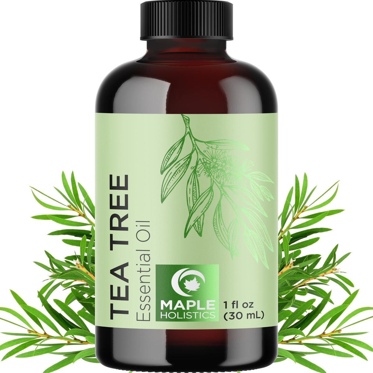 Maple Holistics Aceite de Árbol de Té, frasco para uso tópico.