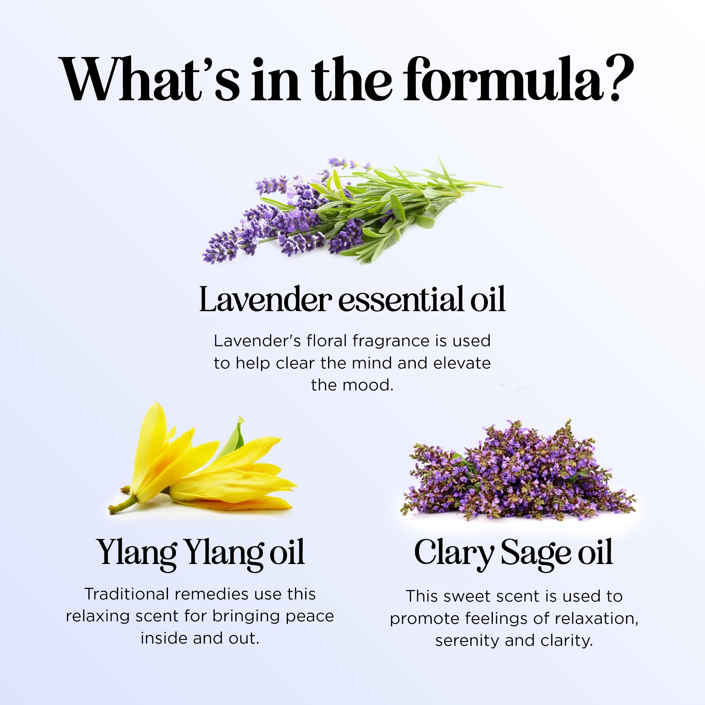 Maple Holistics aceite esencial salvia esclarea para difusor, aroma calmante
