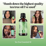 Maple Holistics Cuero cabelludo limpio gracias al aceite de árbol de té.