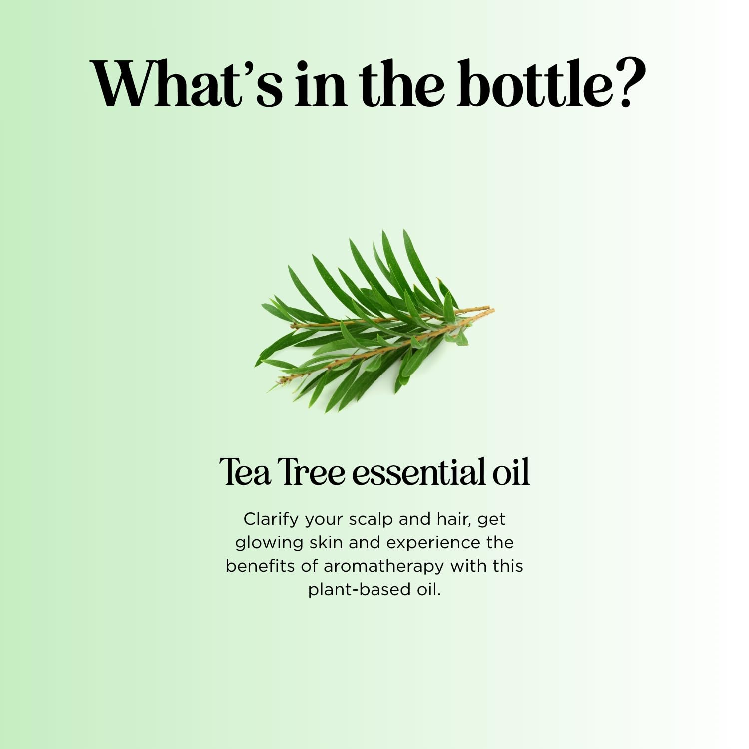 Maple Holistics Uñas purificadas con aceite de árbol de té.