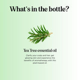 Maple Holistics Uñas purificadas con aceite de árbol de té.