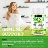 Mapurwn NMNH: envase compacto para llevar en bolso