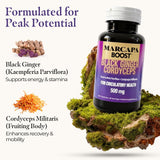 Marcapa Boost: absorción 3-5 veces para mayor rendimiento y recuperación.