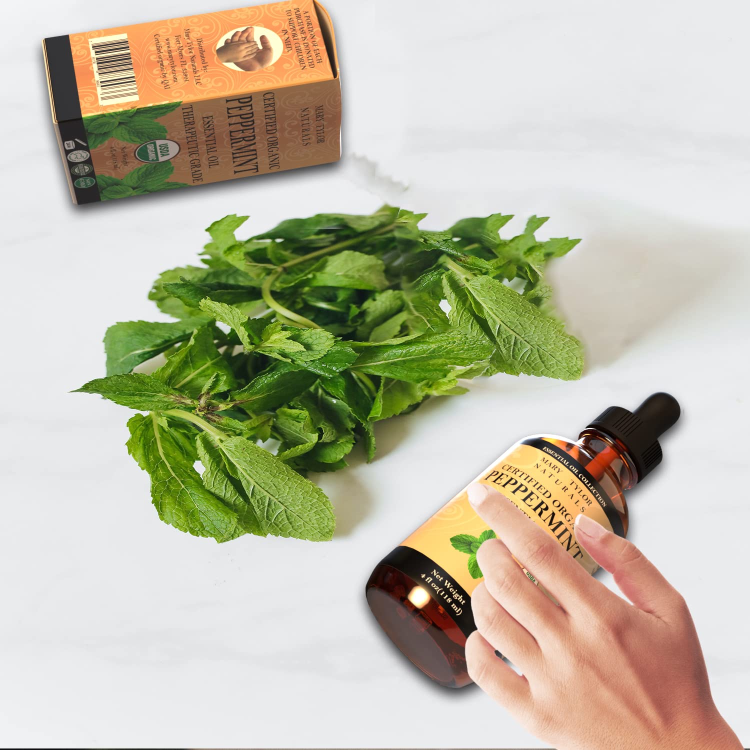 Hojas de menta orgánica, fuente de aroma fresco.