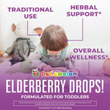 MaryRuth's sirope de saúco, gotas fáciles de dosificar para niños pequeños.
