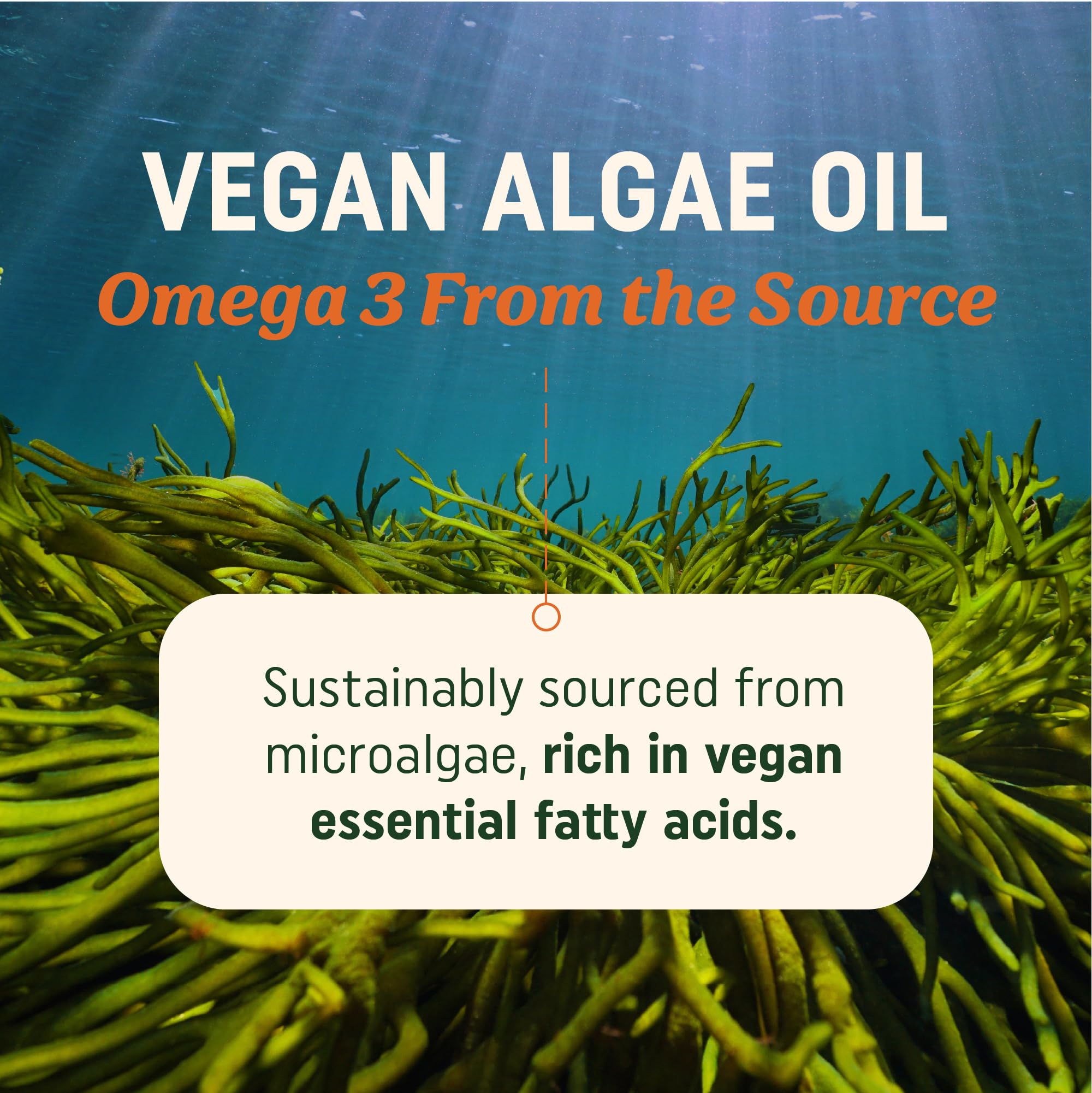 MAV NUTRITION Omega3, primer plano de cápsulas suaves para uso diario.