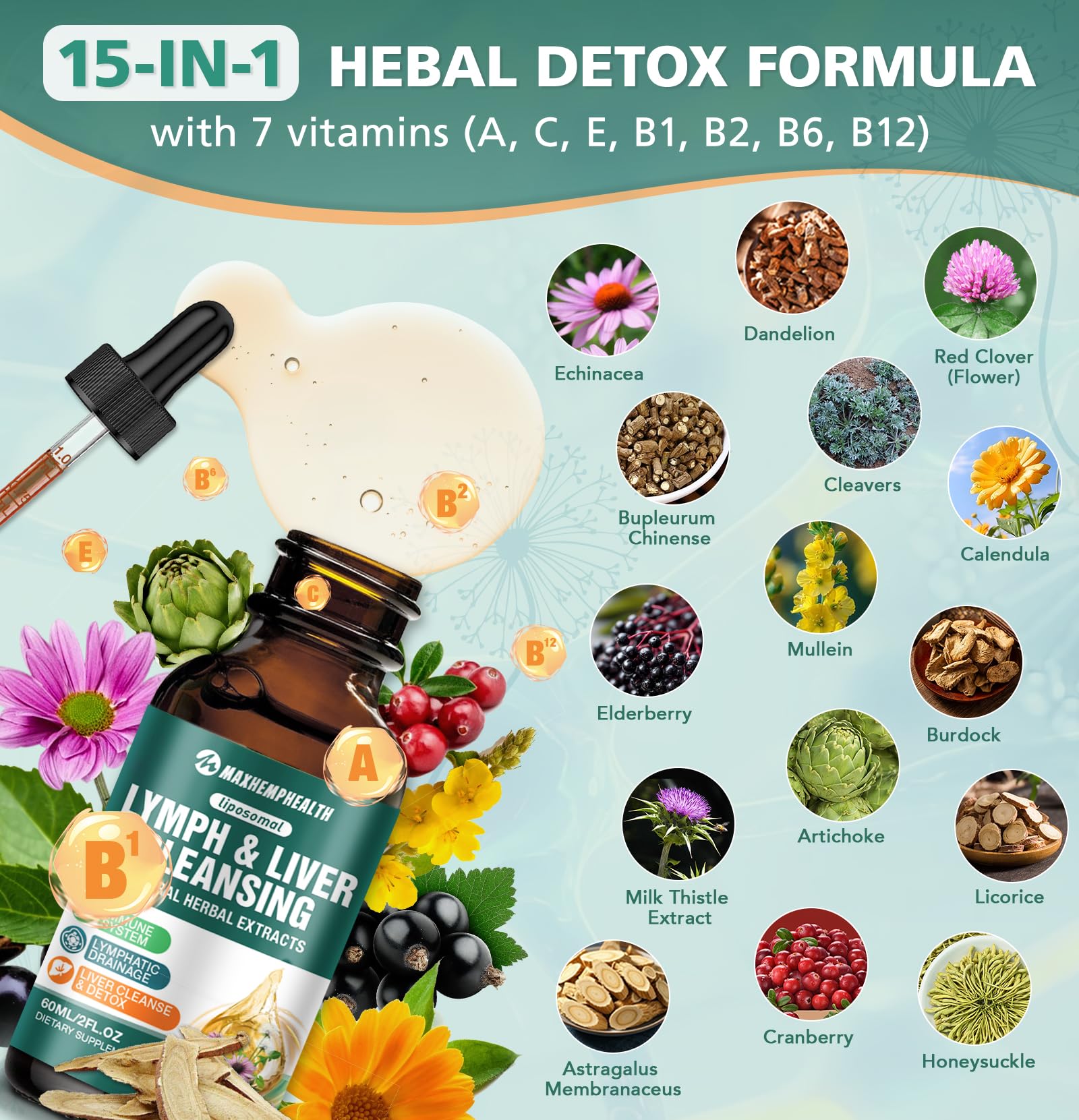Mezcla de ingredientes como Echinacea y Alcachofa para defensa y bienestar.