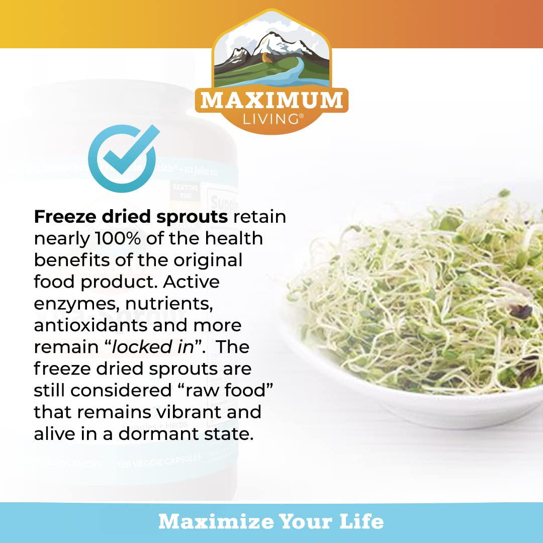 Vitamina B12 en Vita-Sprout para energía diaria de forma natural.