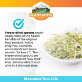 Vitamina B12 en Vita-Sprout para energía diaria de forma natural.