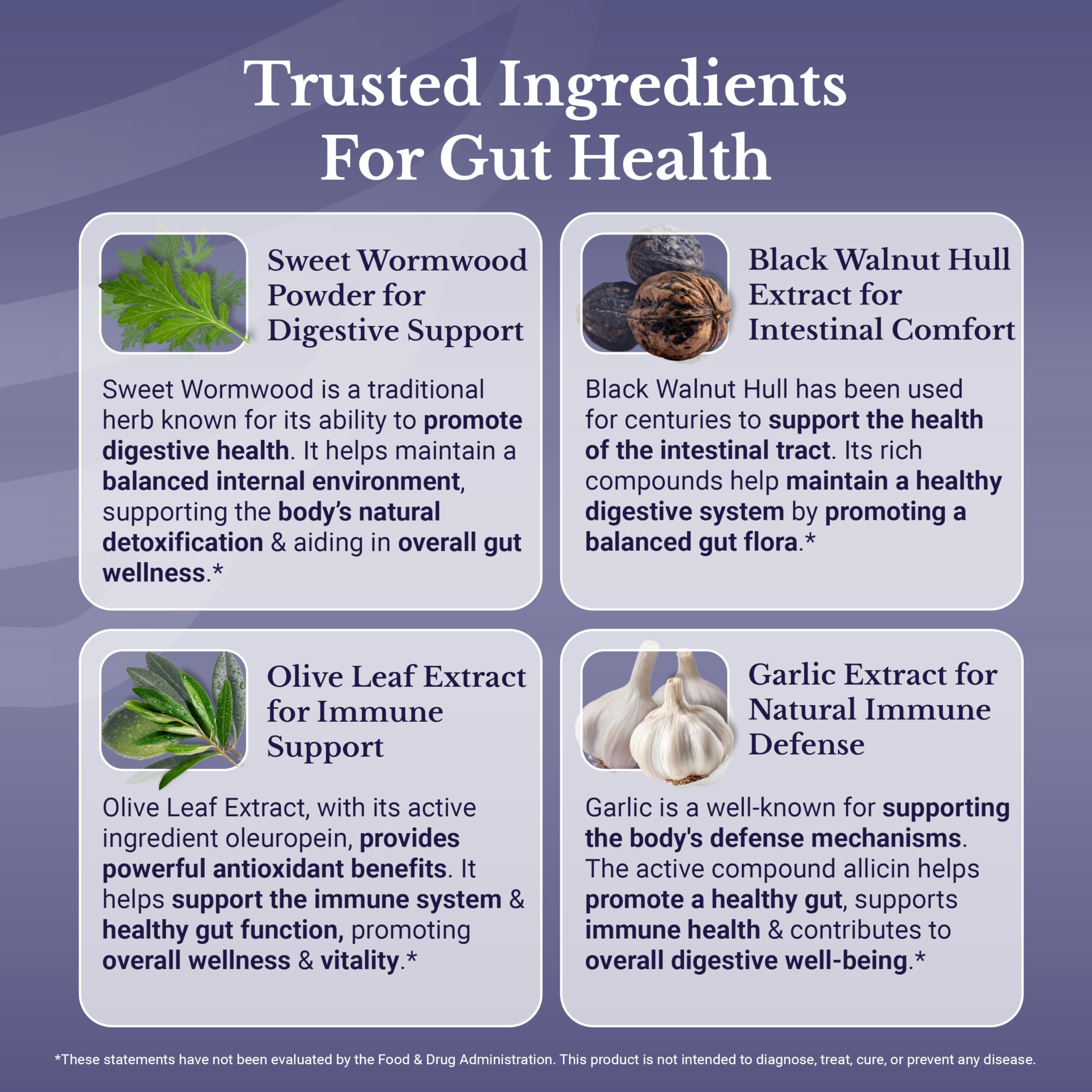 NATION HEALTH MD MD Cleanse24, panel de ingredientes, muestra la mezcla natural para apoyar la digestión.