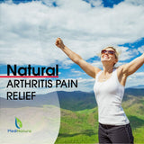 MediNatura T-Relief: ingredientes naturales para bienestar articular