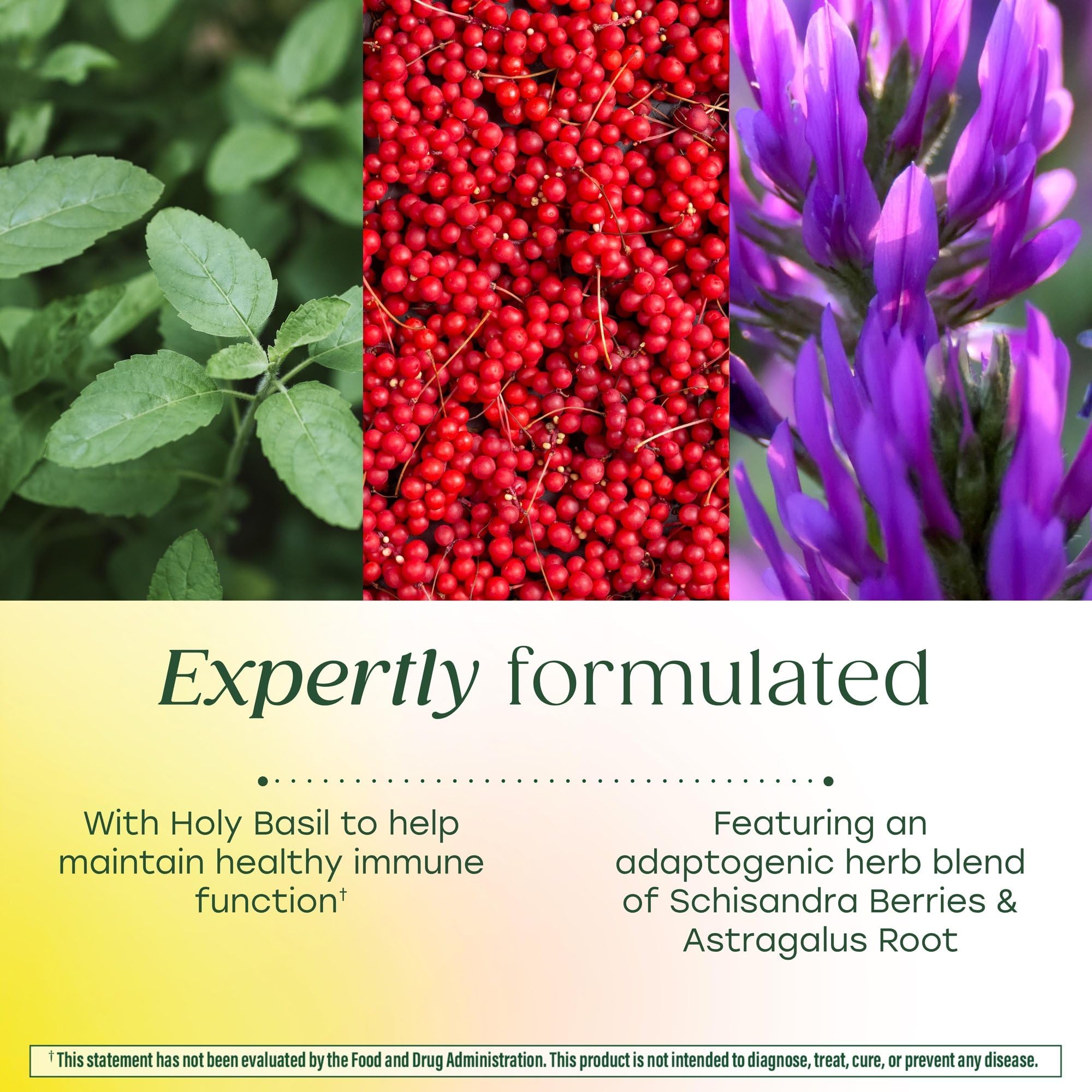Ingredientes clave de MegaFood Ashwagandha Complex, fuente de nutrientes reales.