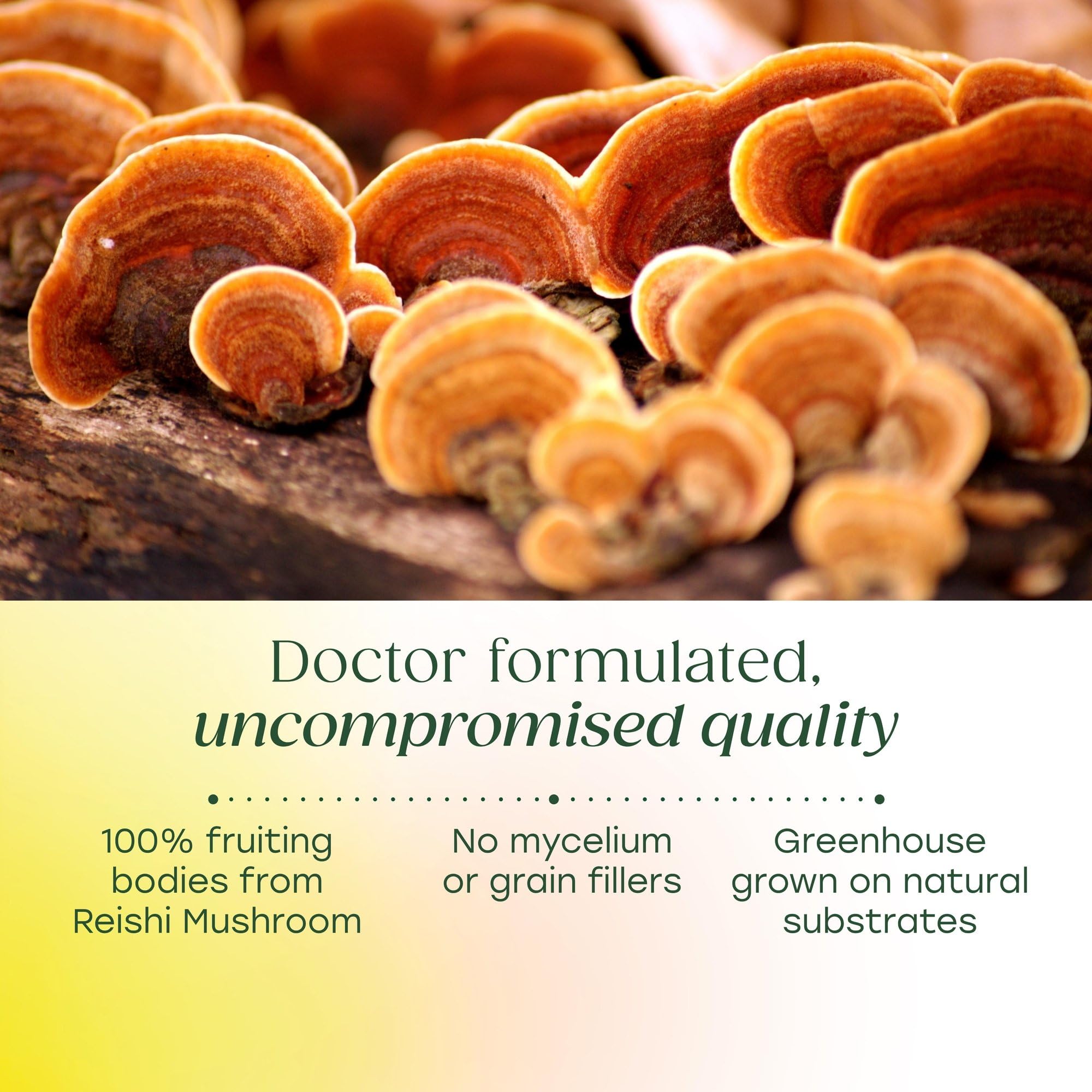 Etiqueta de dosis de MegaFood Reishi con información clara