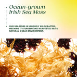MegaFood Sea Moss Complex: alga bladderwrack para aportar antioxidantes naturales.