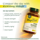 Imagen de ingredientes clave de MegaFood Shilajit y ácido fúlvico