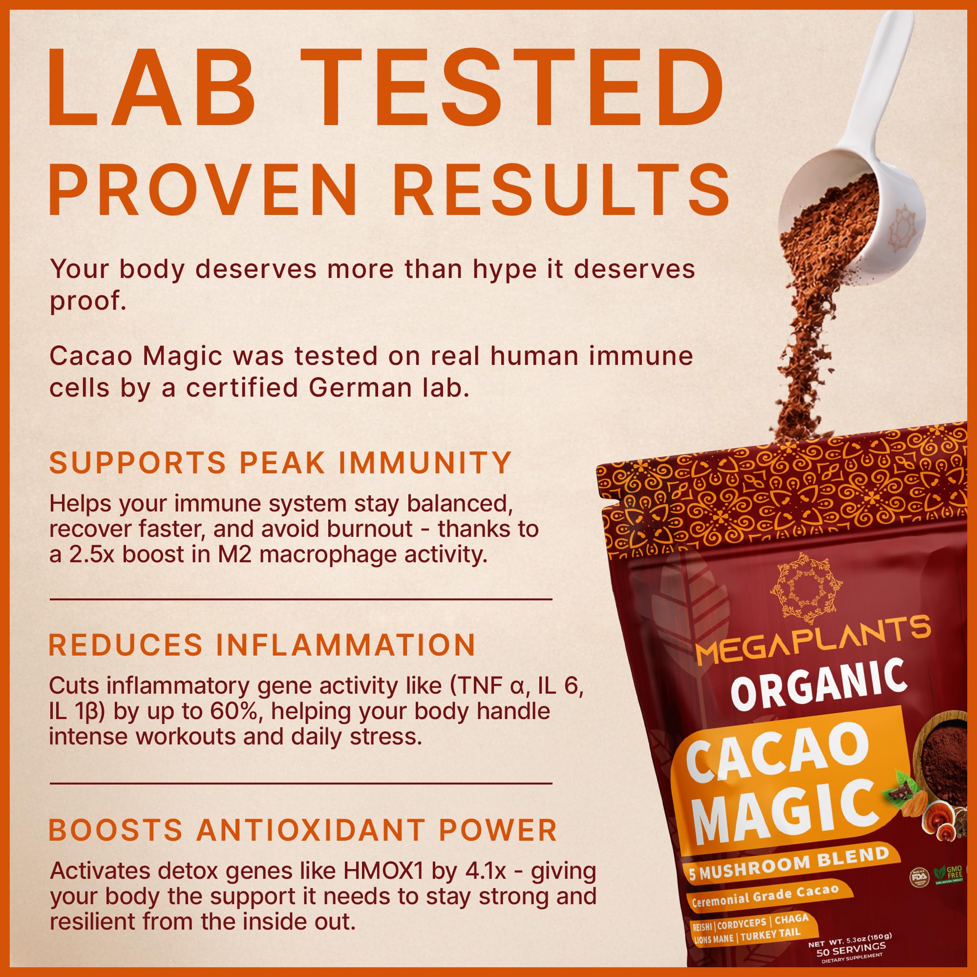 MEGAPLANTS Cacao Magic: taza de chocolate caliente con energía suave
