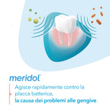 Meridol Dentífrico con sabor a menta, sensación de frescura durante el cepillado.