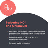 Primer plano del frasco mostrando branding de Metabolic Maintenance Berberine Chromium