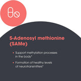 Metabolic Maintenance SAMe Cofactores: detalle de ingredientes clave para la metilación.