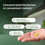 Berberina HCl en Metagenics CandiBactin-BR, ingrediente clave para equilibrio intestinal.
