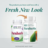 MICHAEL'S Paraherbs: mezcla herbal con semillas de papaya para la salud intestinal.
