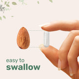 Ingredientes clave biodisponibles para micronutrientes esenciales