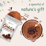 Chaga analizado en laboratorio de terceros para pureza.