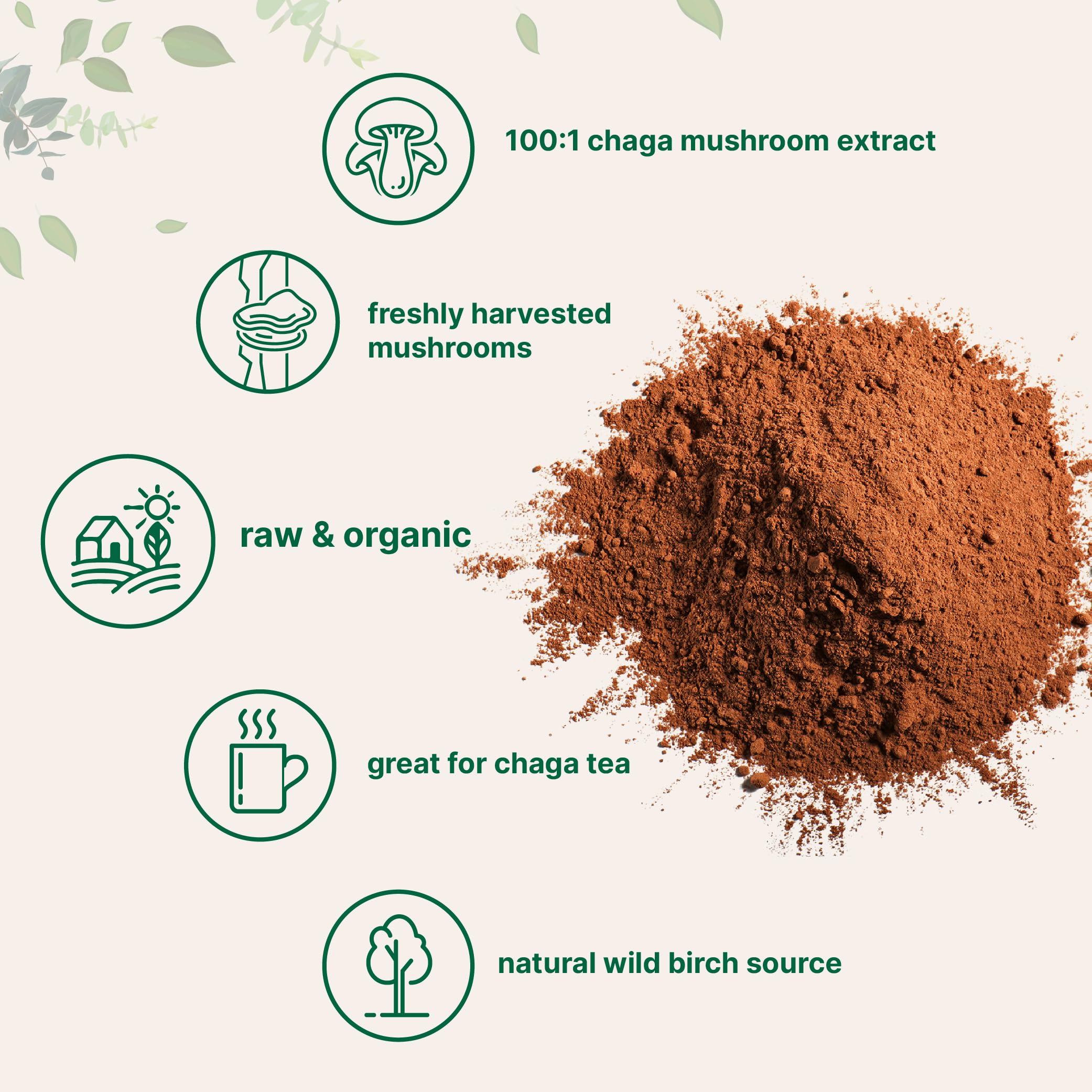 Chaga te en taza de Micro Ingredients, experiencia reconfortante para empezar el día.