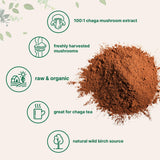 Chaga te en taza de Micro Ingredients, experiencia reconfortante para empezar el día.