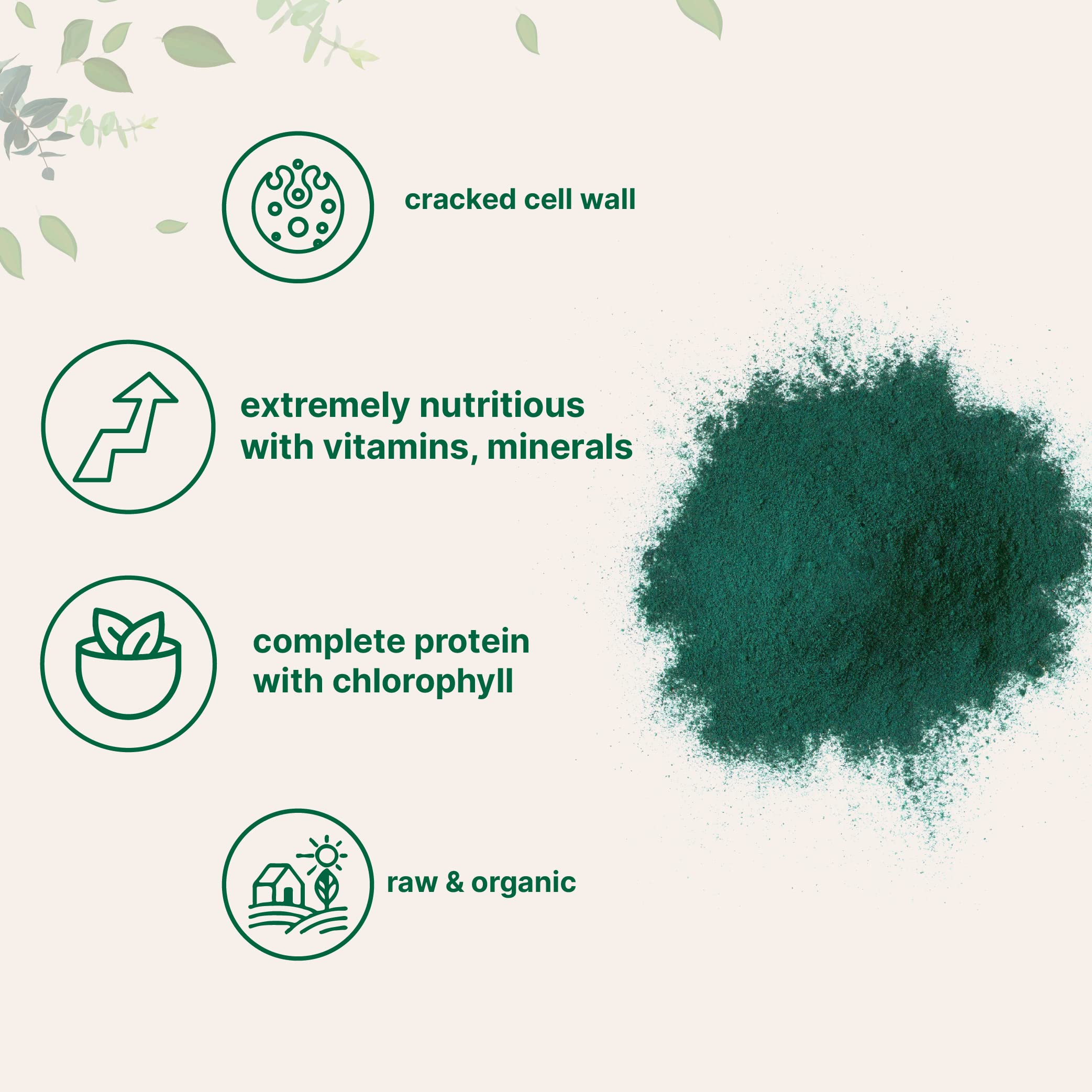 Micro Ingredients chlorella, antioxidantes y vitaminas en polvo para bienestar diario