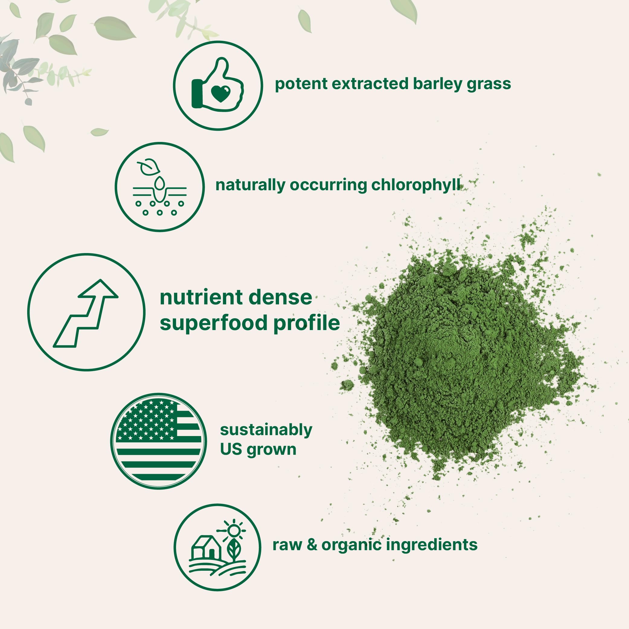 Micro Ingredients hierba cebada orgánica polvo, ideal para bienestar diario.
