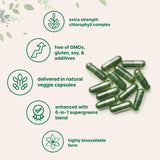 Micro Ingredients mezcla superverdes Perejil y Menta para energía diaria