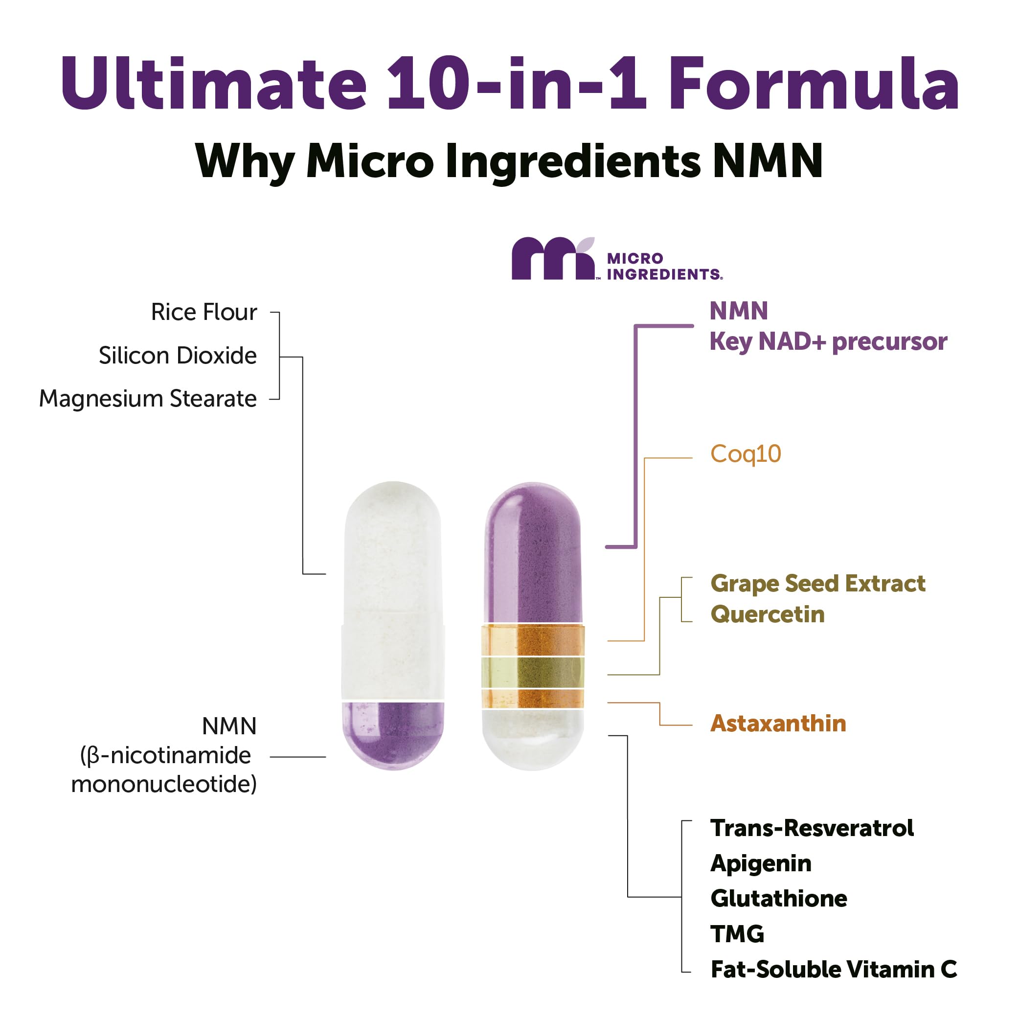 NMN con resveratrol 98% trans para antioxidantes en Micro Ingredients.
