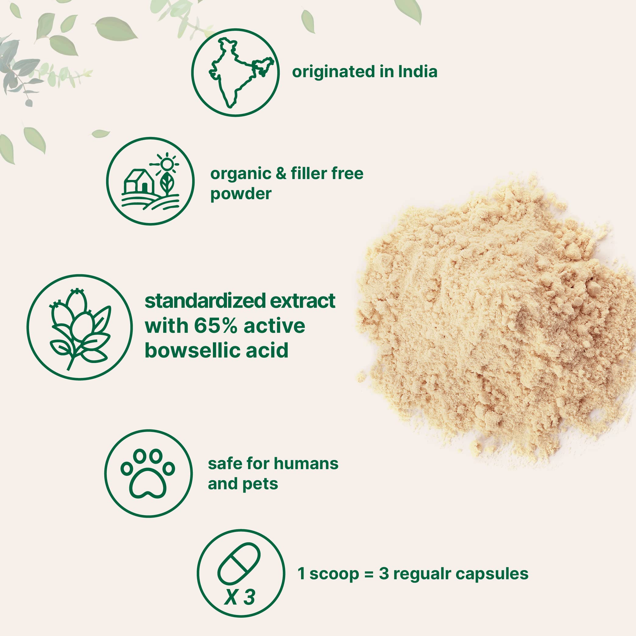 Micro Ingredients polvo de Boswellia, mezcla para batidos diarios.