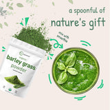 Micro Ingredients polvo hierba cebada para recetas fáciles y nutritivas.