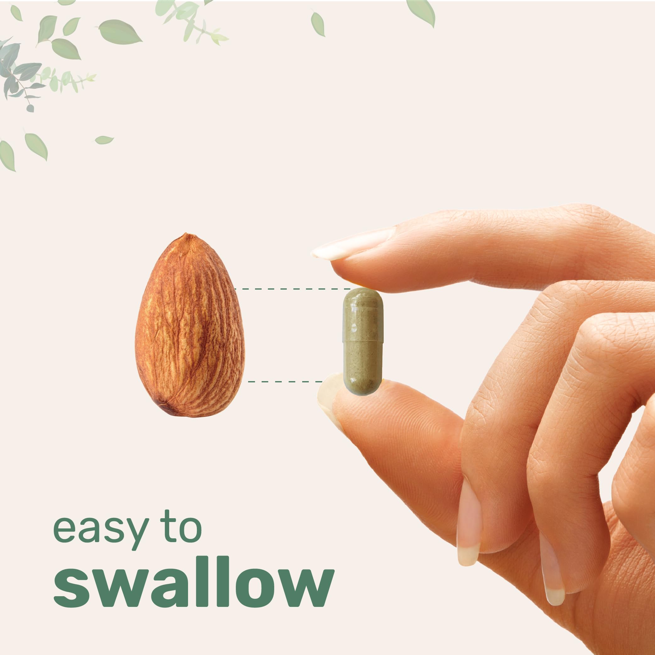 Ingredientes clave: moringa, berberina y semilla de uva en Micro Ingredients Resveratrol NAD Complex.