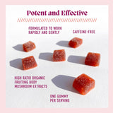 Microjoy Motivate Gummies: ingredientes limpios y veganos para bienestar diario.