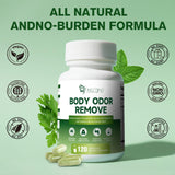 Migcopat cápsulas te verde menta: aroma fresco y sensación refrescante