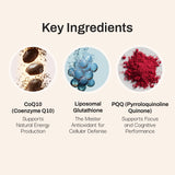 Mikra Glutatión liposomado, toma matutina, sabor suave y natural.