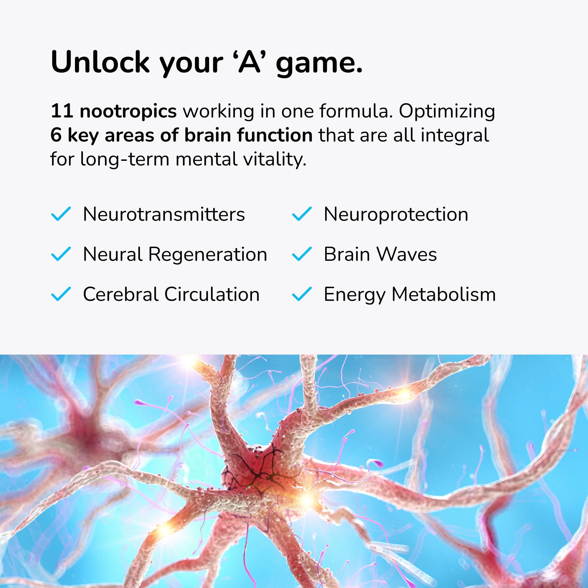 Mind Lab Pro MLP4, detalle de ingredientes para claridad cognitiva.