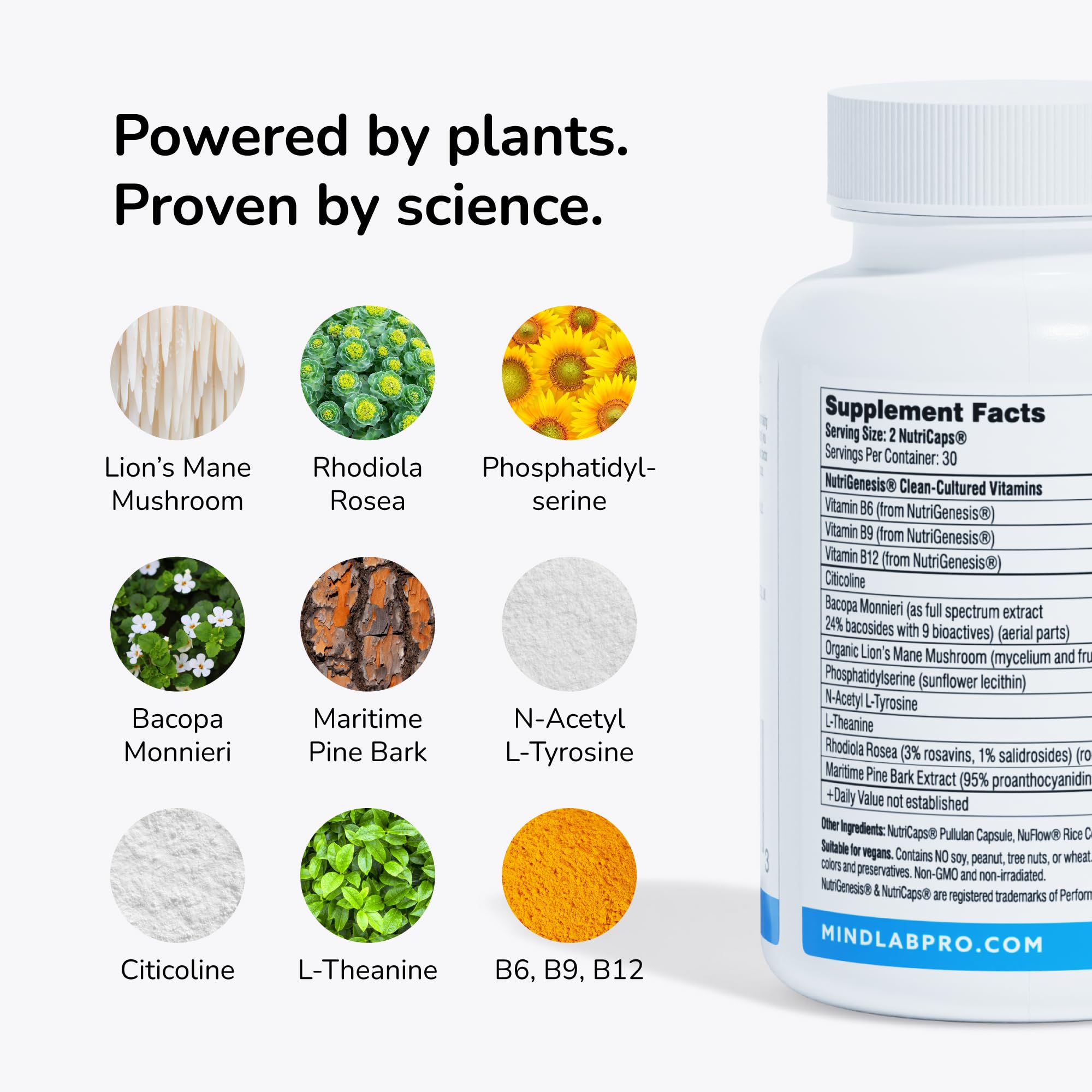 Mind Lab Pro MLP4, etiqueta nutricional con componentes clave.