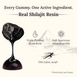 Etiqueta de Miresi Shilajit gomitas tamarindo destacando pureza.