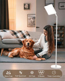 MirthSip: cinco temperaturas de color para cualquier momento del día