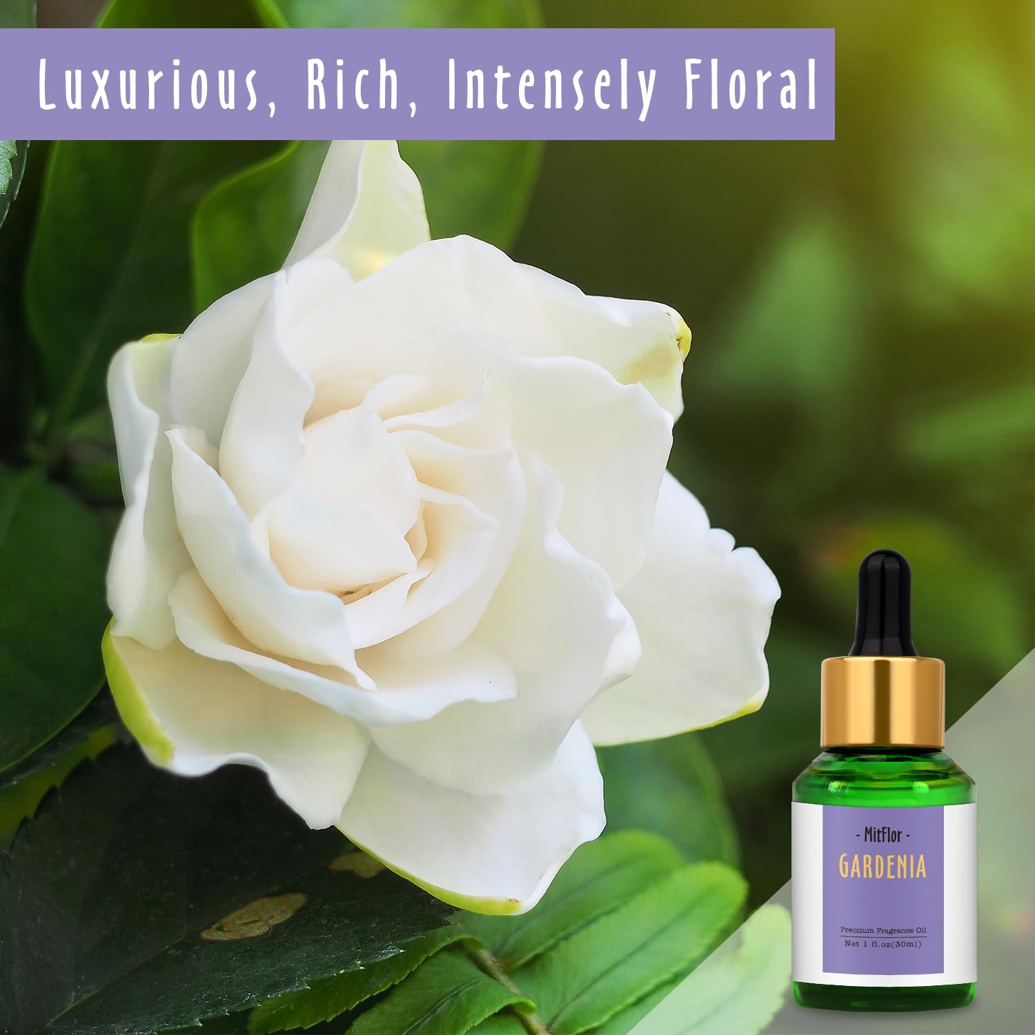 MitFlor difusor ambiental Gardenia con aceite para crear atmósferas