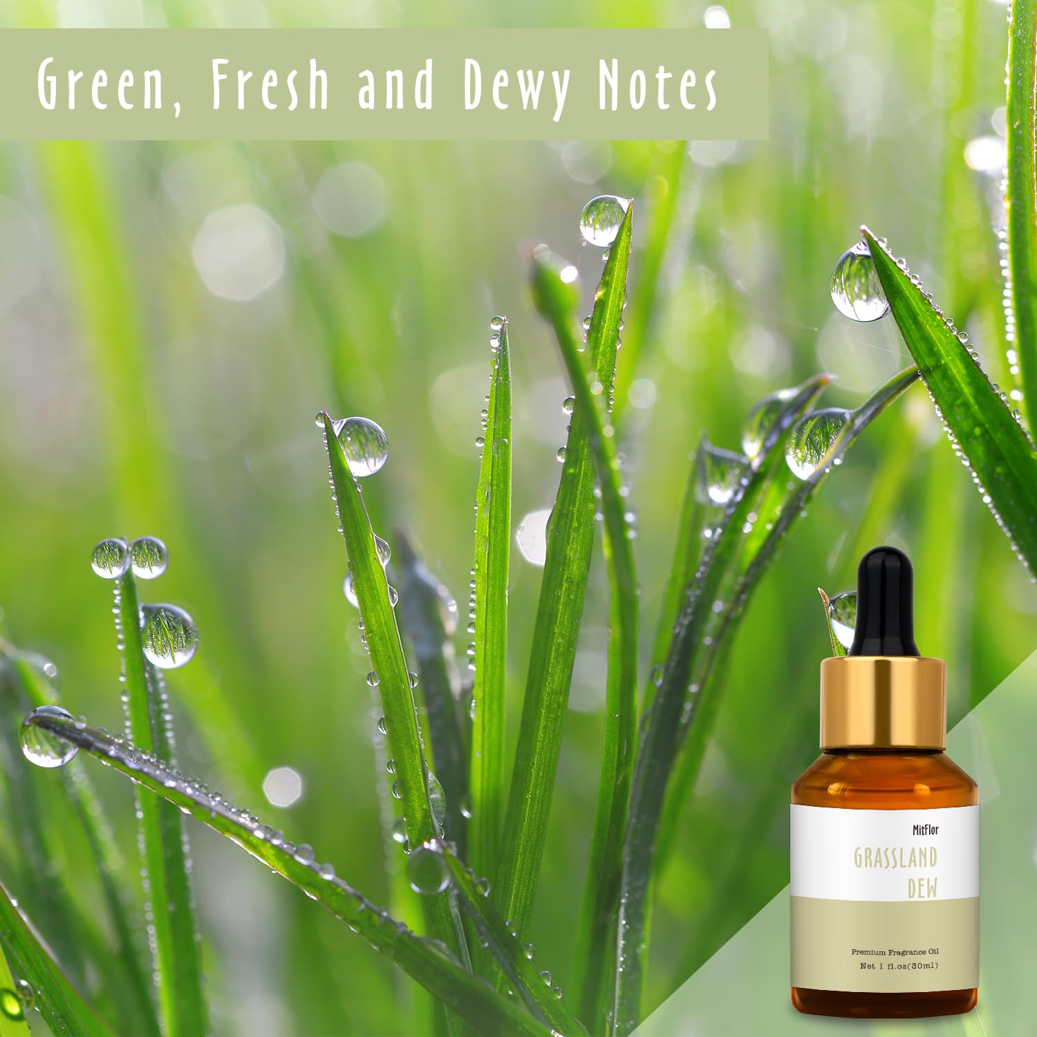 MitFlor Rocío de Pradera difusor, ambientación fresca y vigorizante