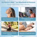 MITIVA Urolithin A: etiqueta detallada muestra composición y calidad