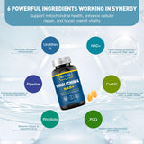 MITIVA Urolithin A: ingredientes clave NAD+, CoQ10 y PQQ para soporte antioxidante