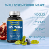 MITIVA Urolithin A: toma diaria para consumo constante